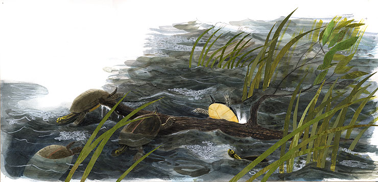 &copy; Rob Dunlavey Illustration