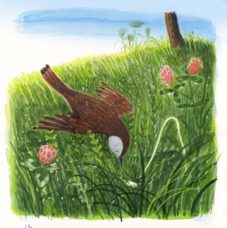 &copy; Rob Dunlavey Illustration